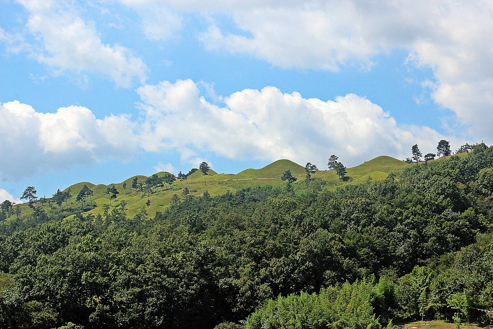 Gaya Tumuli